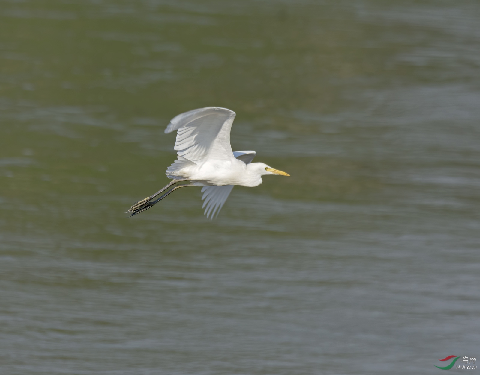 DSC_2475.jpg