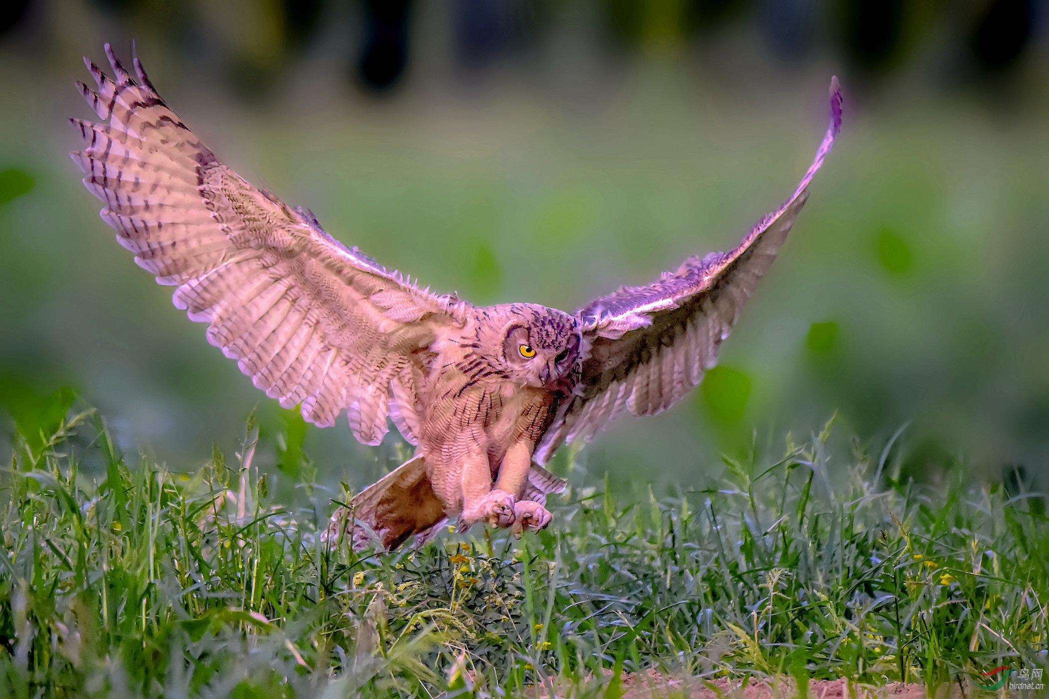 DSC_3970_����_���� (2)_����_����.jpg