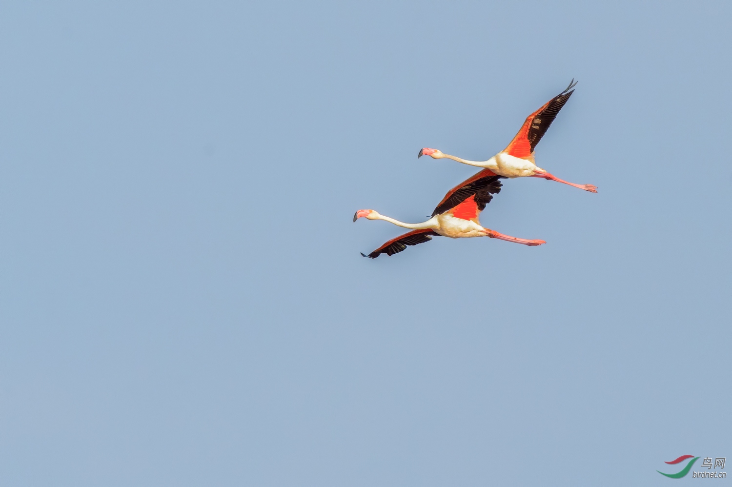 DSC_7776_1.jpg