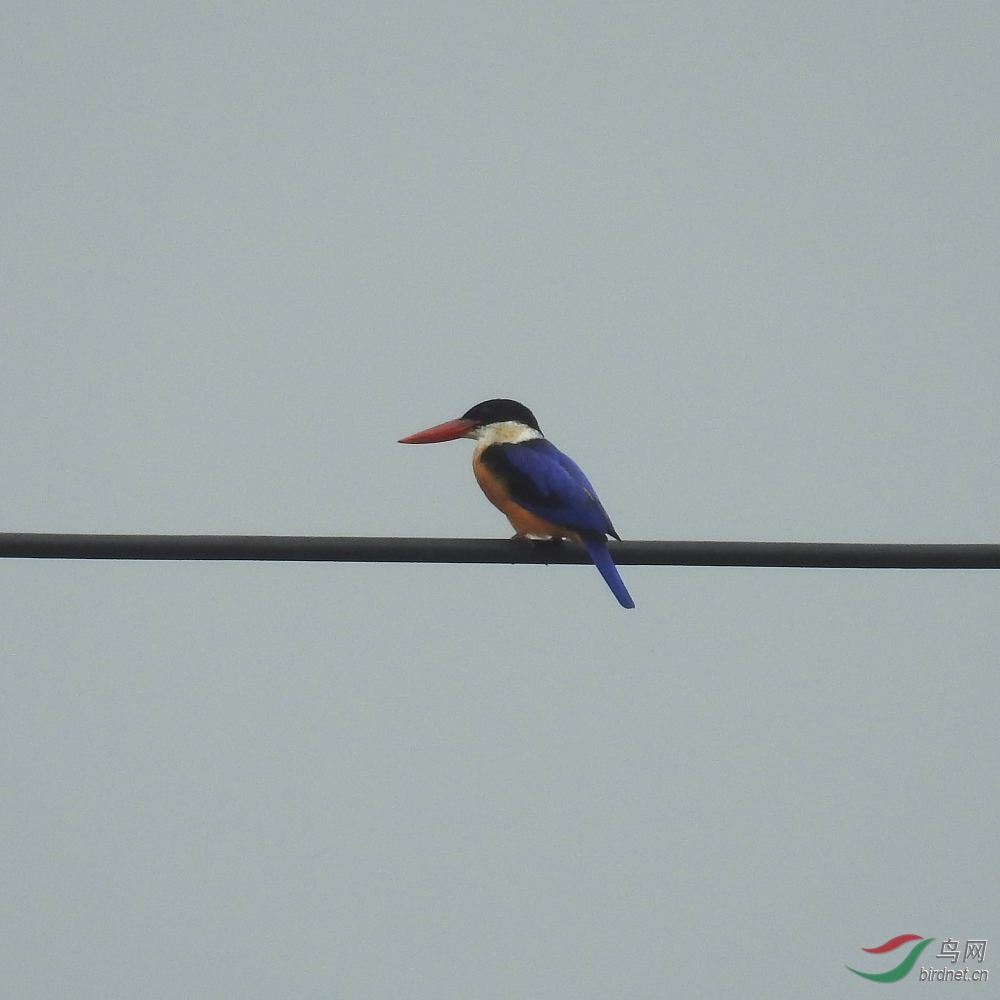 DSCN2285-1.JPG