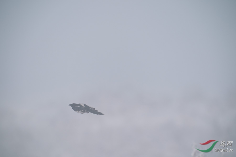 DSC00721.jpg
