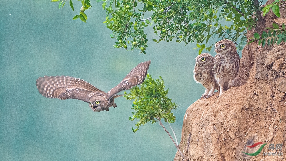 58 (3)_��ͼ��.jpg