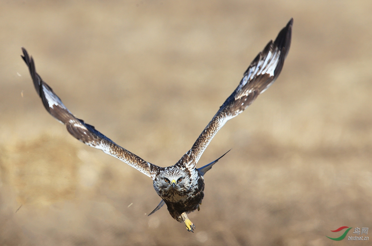 δ����-8578��