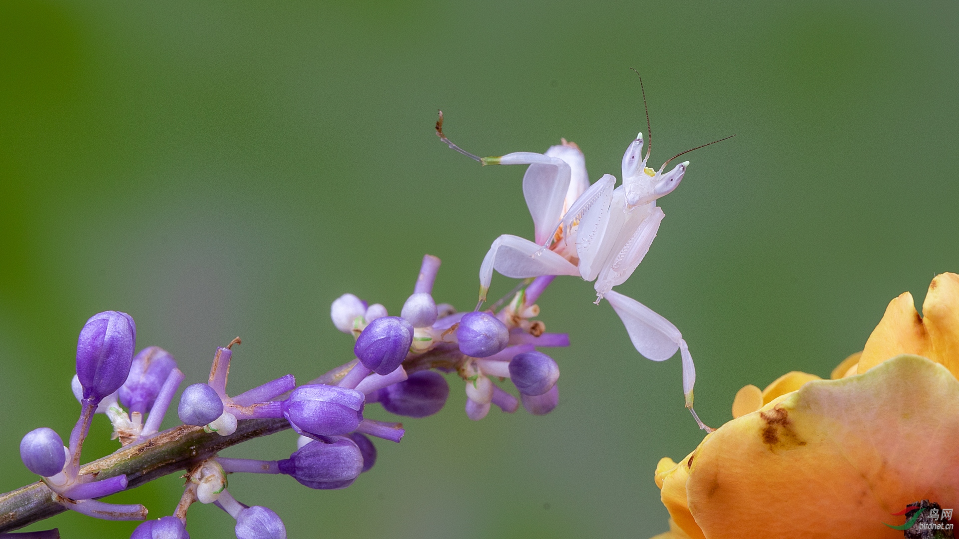 _S8A0140-1.jpg
