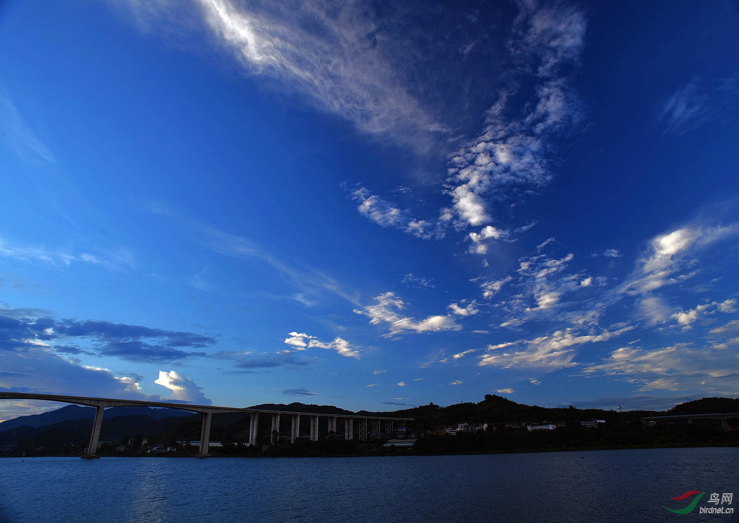 D8I_8812.jpg