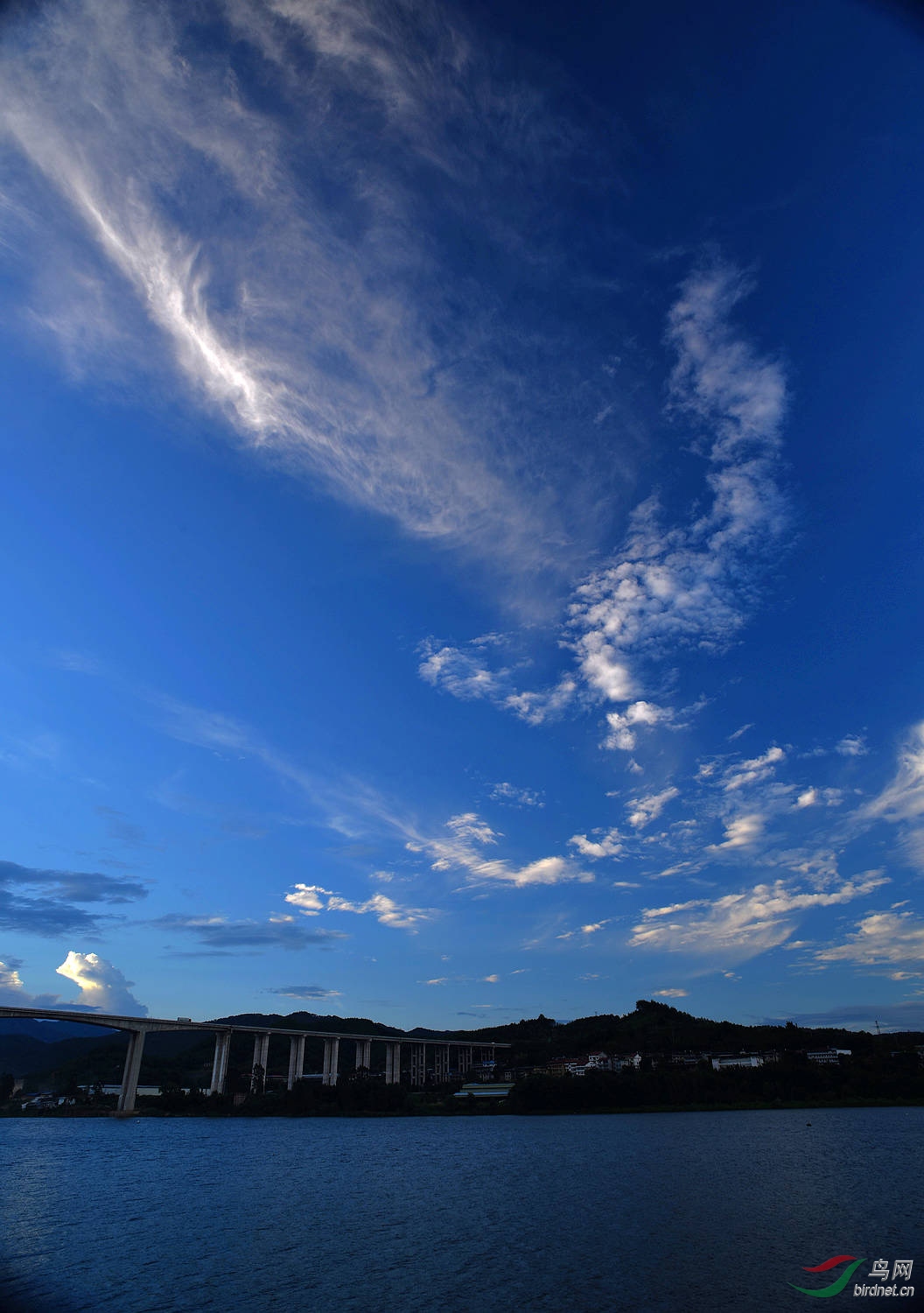 D8I_8810.jpg