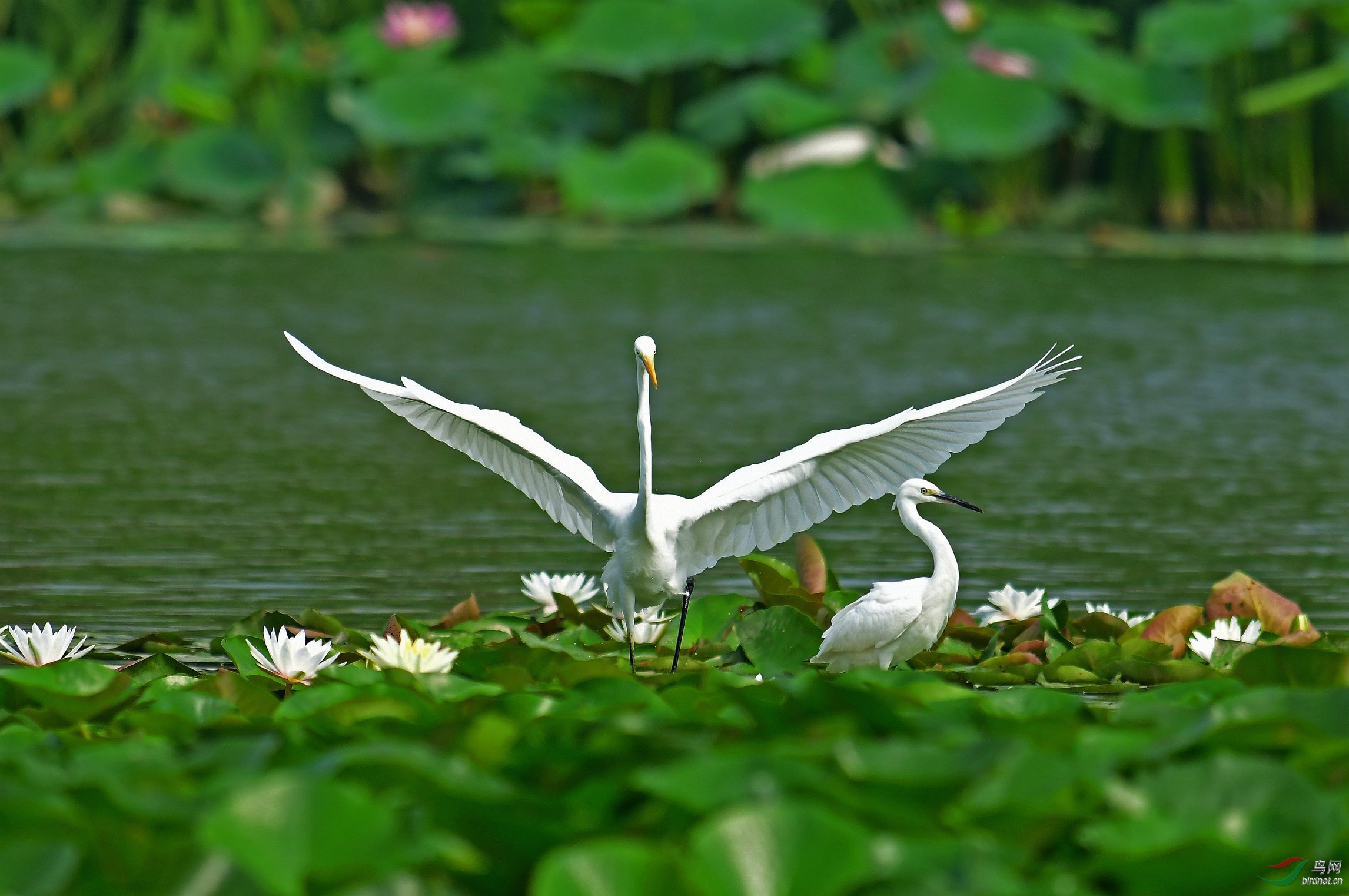 DSC_2727.JPG