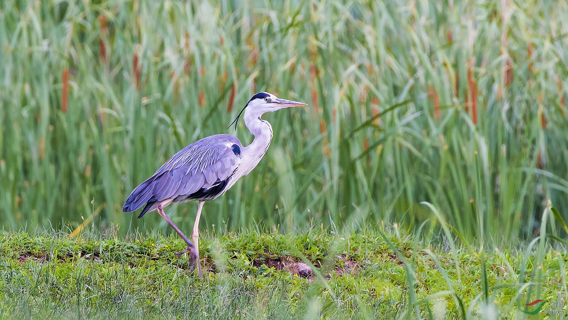 DSC_7944.jpg