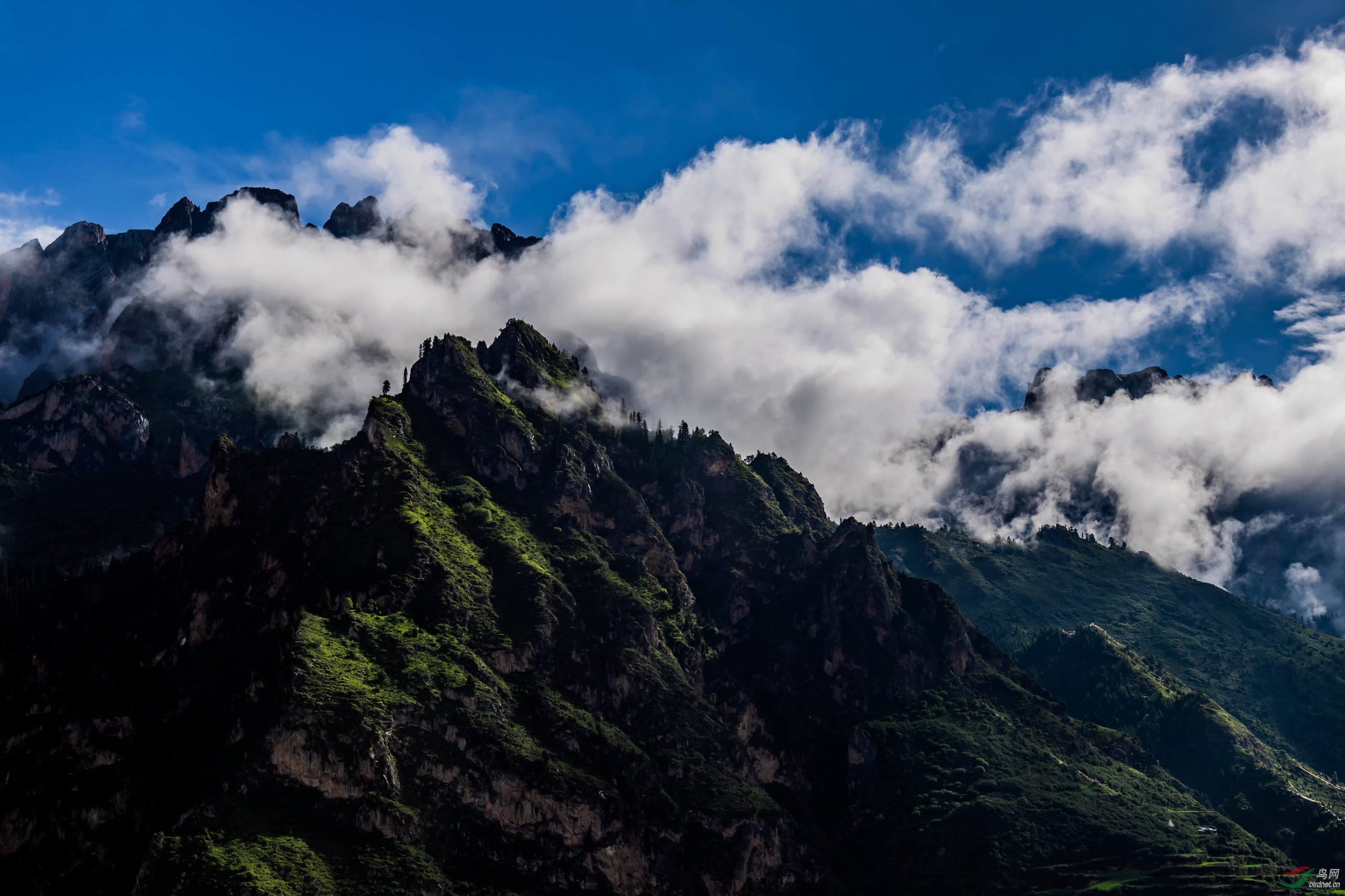 DSC_3650_��ͼ��.jpg