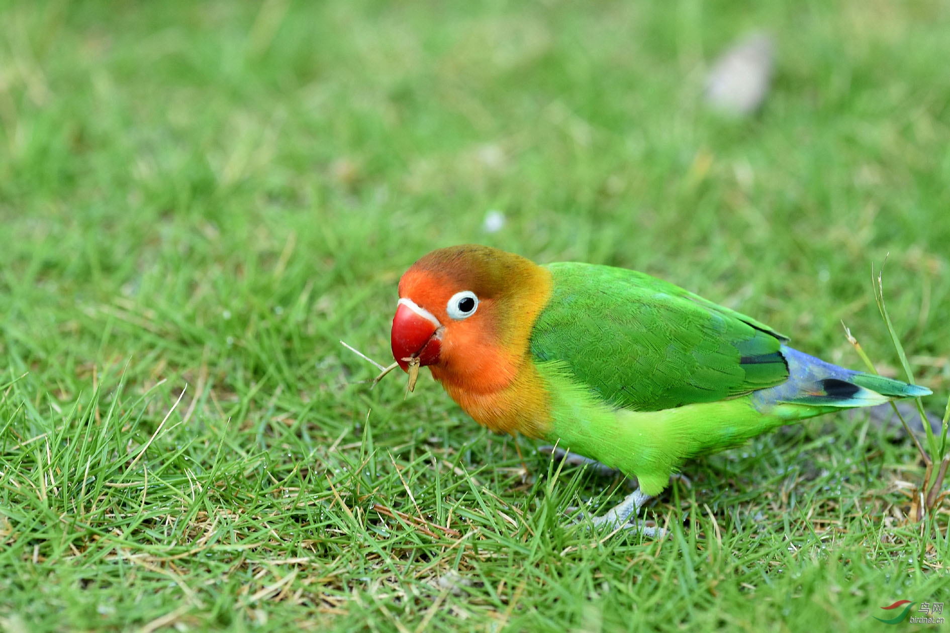 DSC_8169_����.jpg