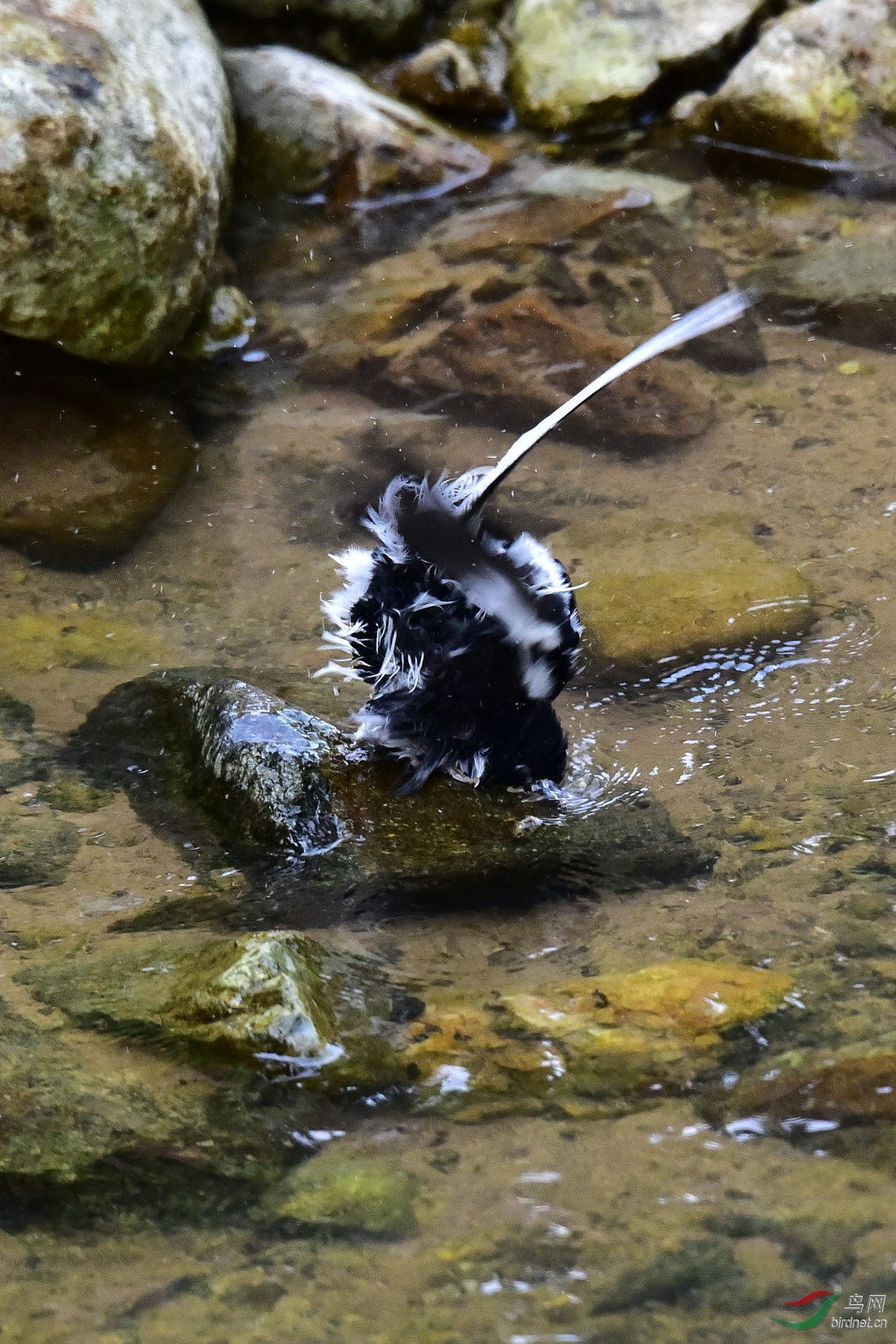 DSC_1056.JPG