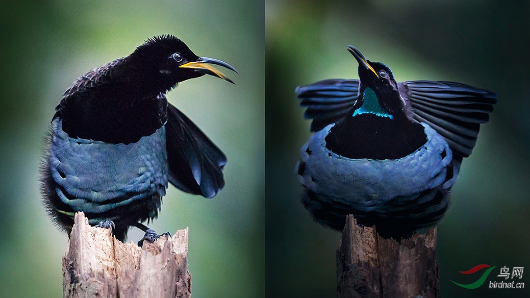 2-C73I1 -Сȹ������.jpg