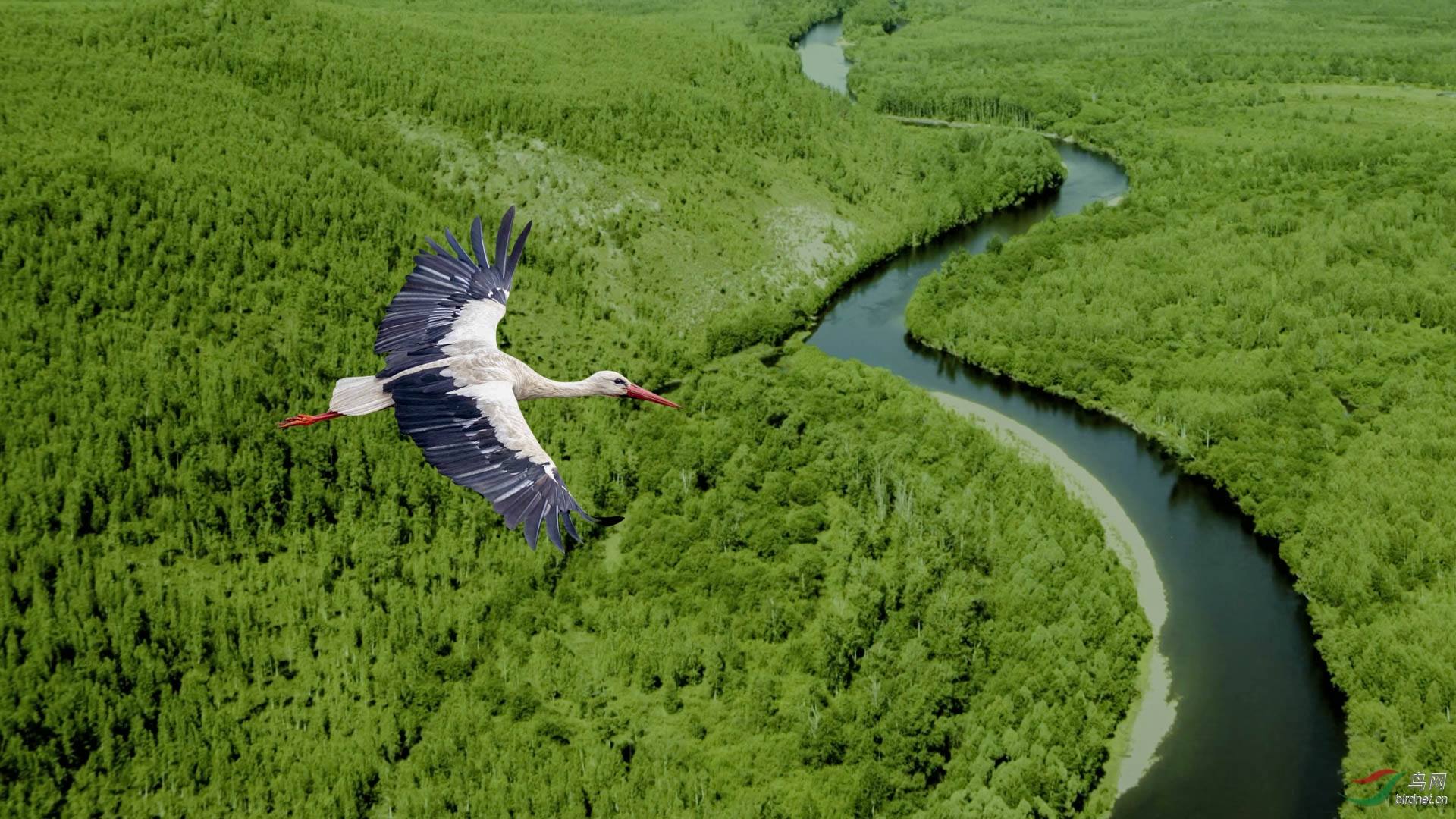 ��������7 ���� 1920x500k.jpg