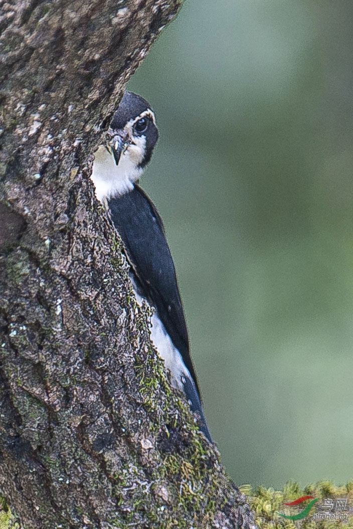 DSC_0271.jpg