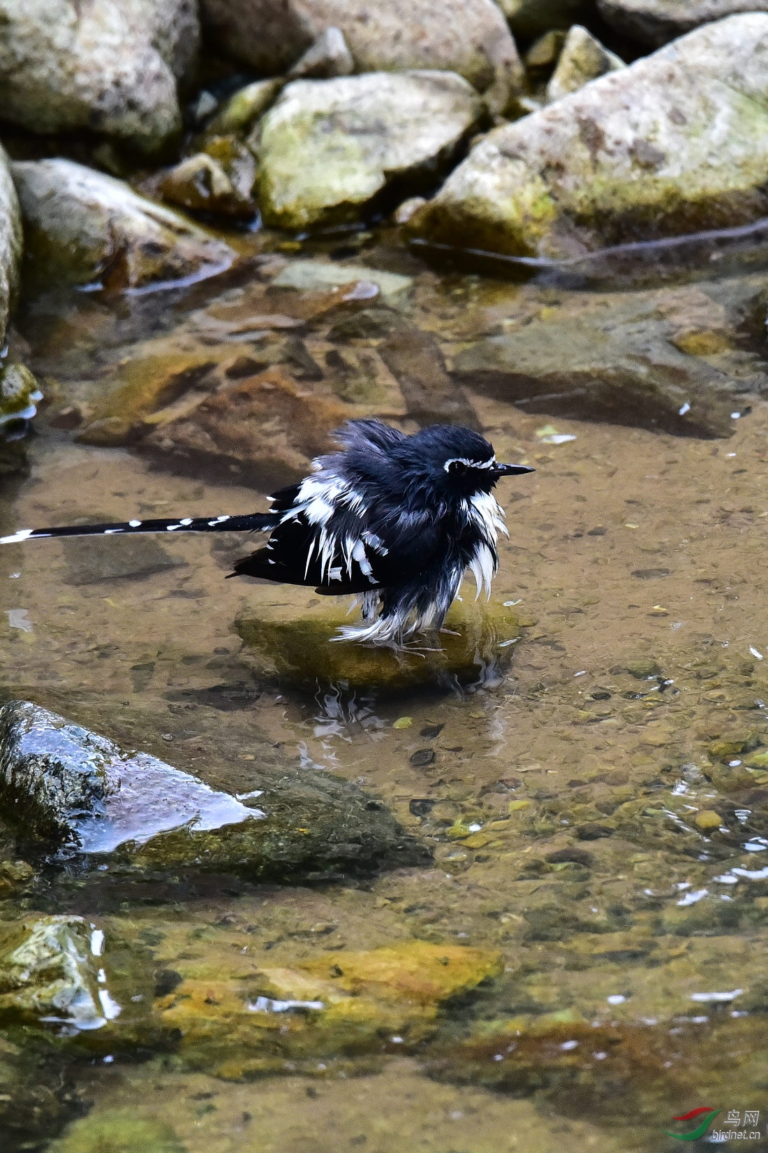 DSC_1058.JPG
