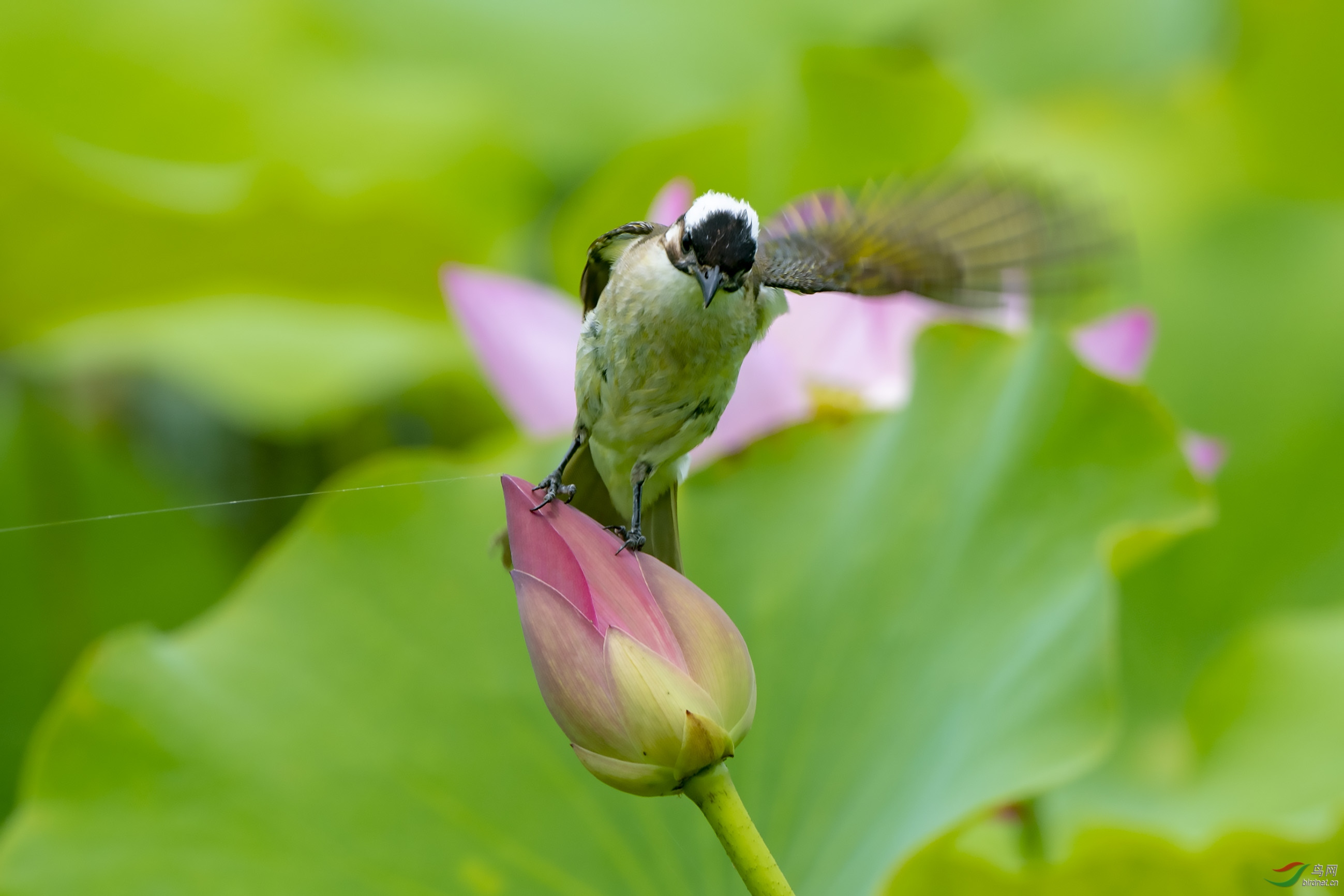 D50_0486.jpg