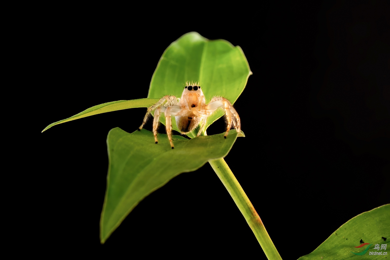 _DSC5064_1.jpg
