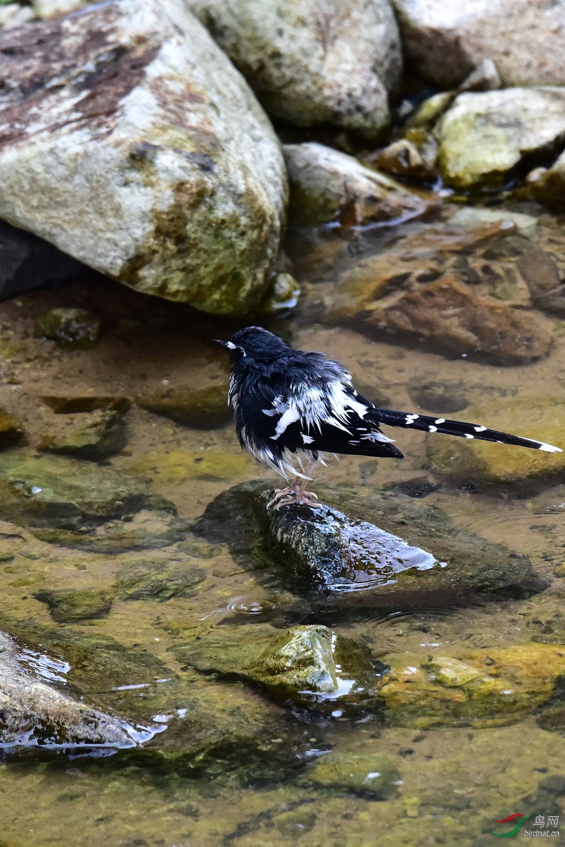 DSC_1061.JPG