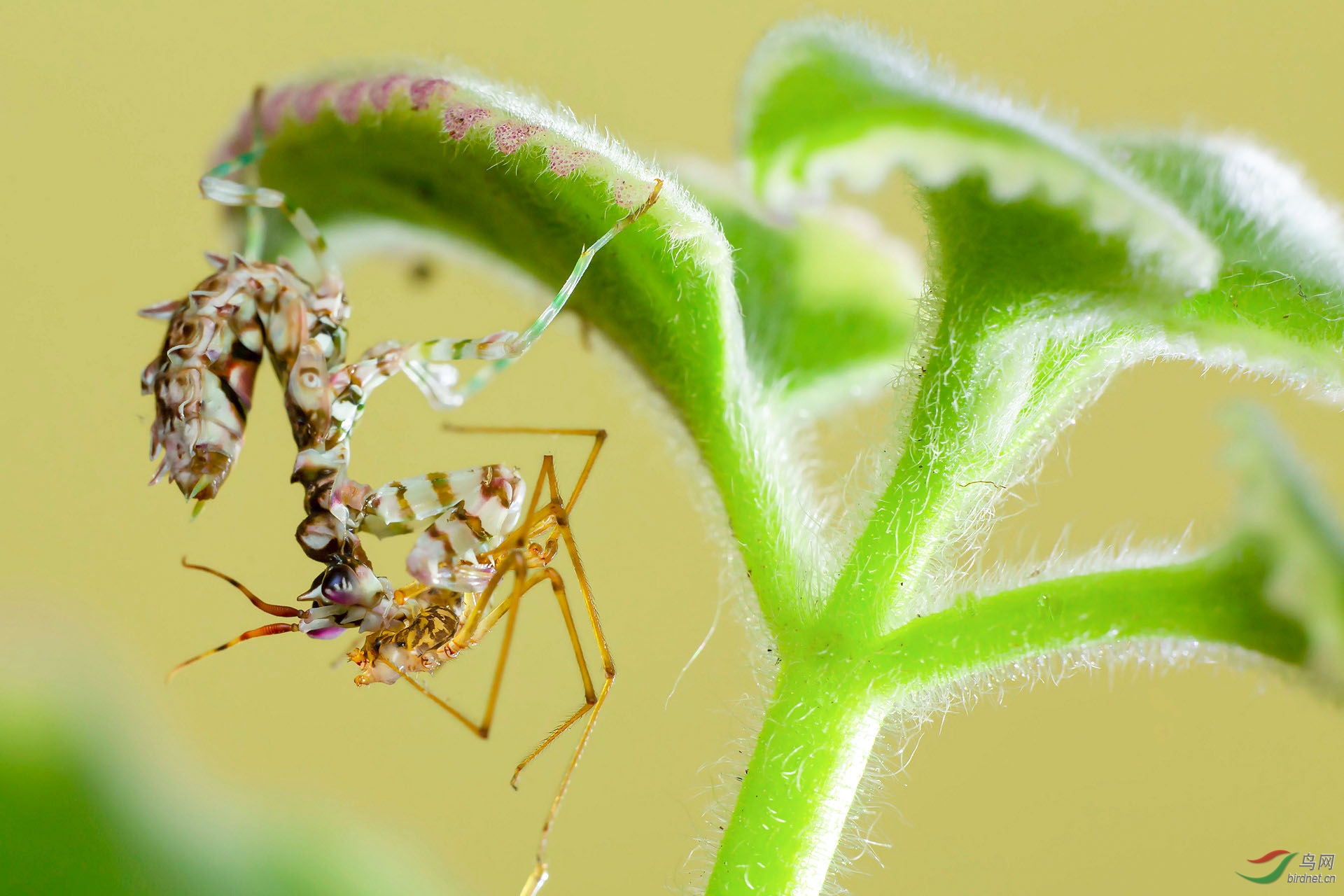 _V7A9595 - ����.jpg