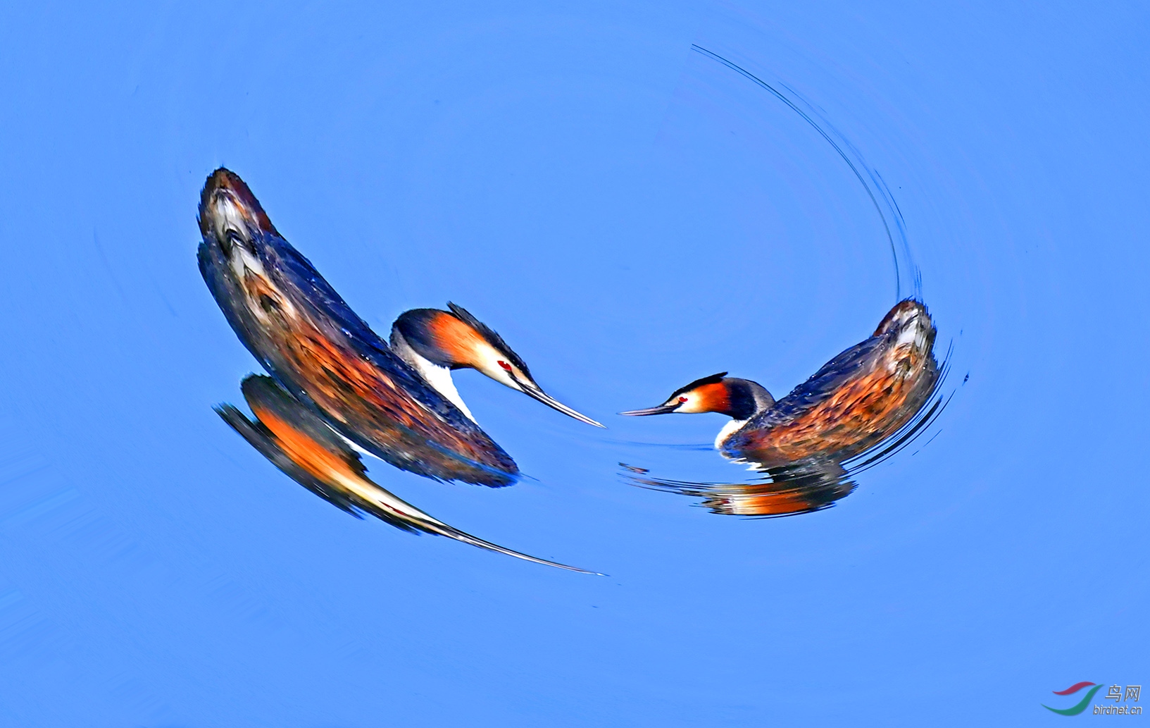 6.����(��ͷ)9296AM.jpg