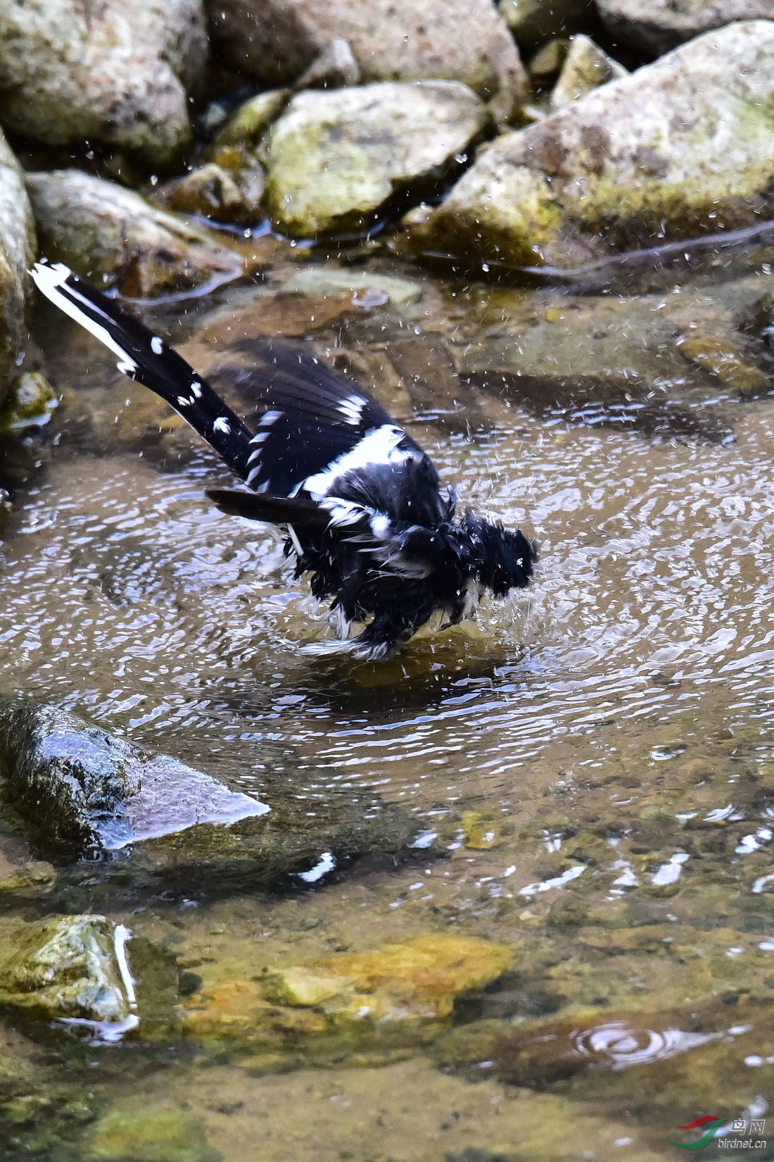 DSC_1063.JPG