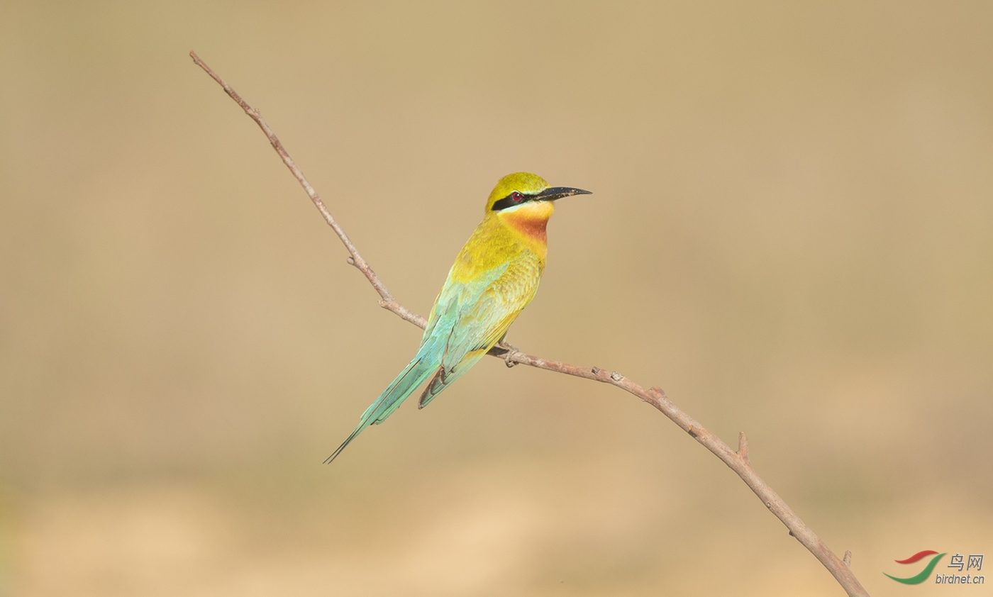 DSC_7049.jpg