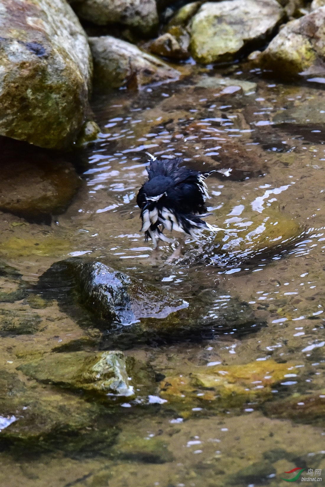 DSC_1065.JPG