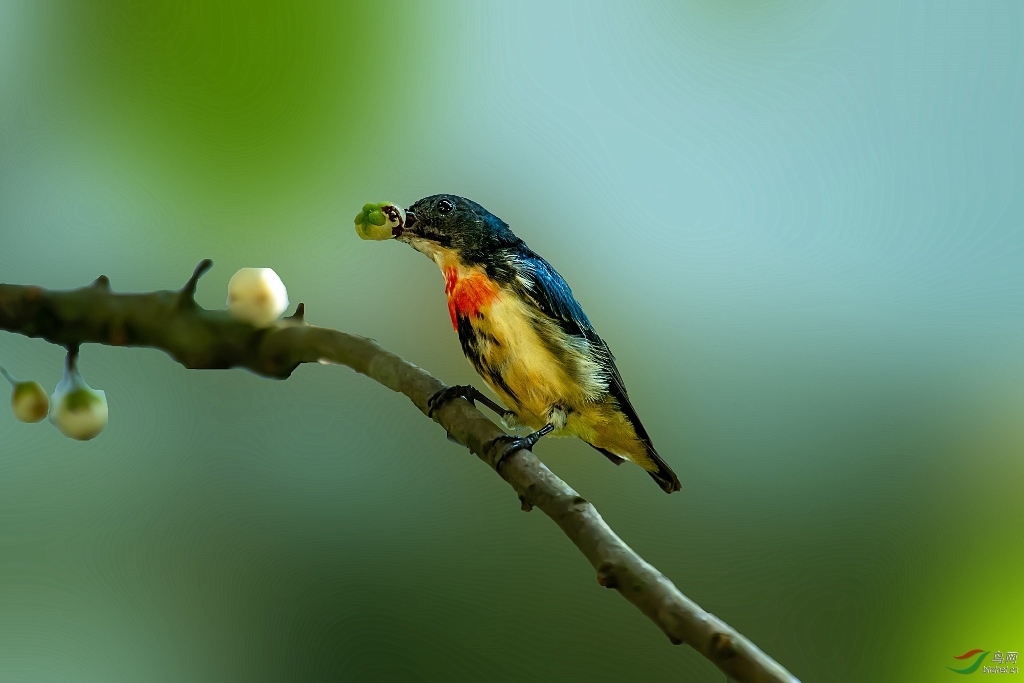 DSC_9082-1_����.jpg