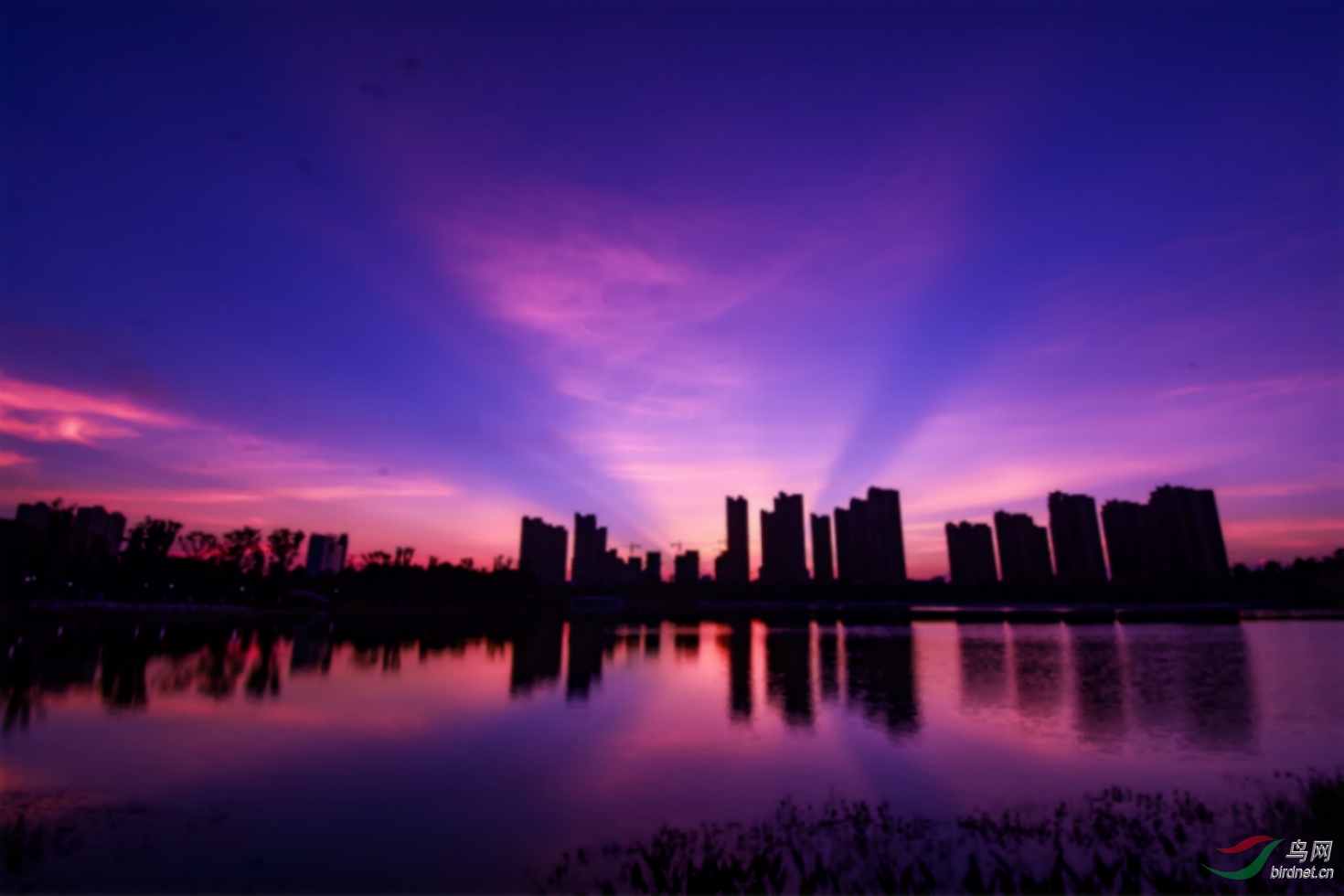 DSC_6411---2_meitu_2.jpg