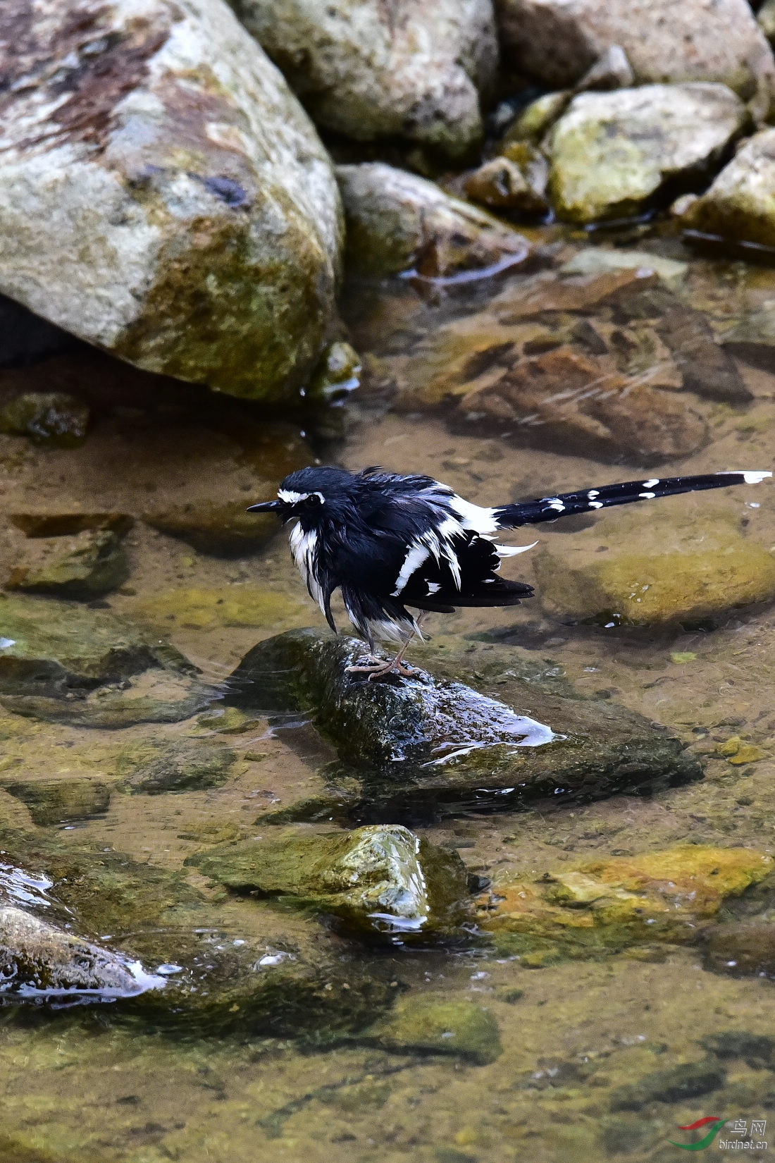 DSC_1068.JPG