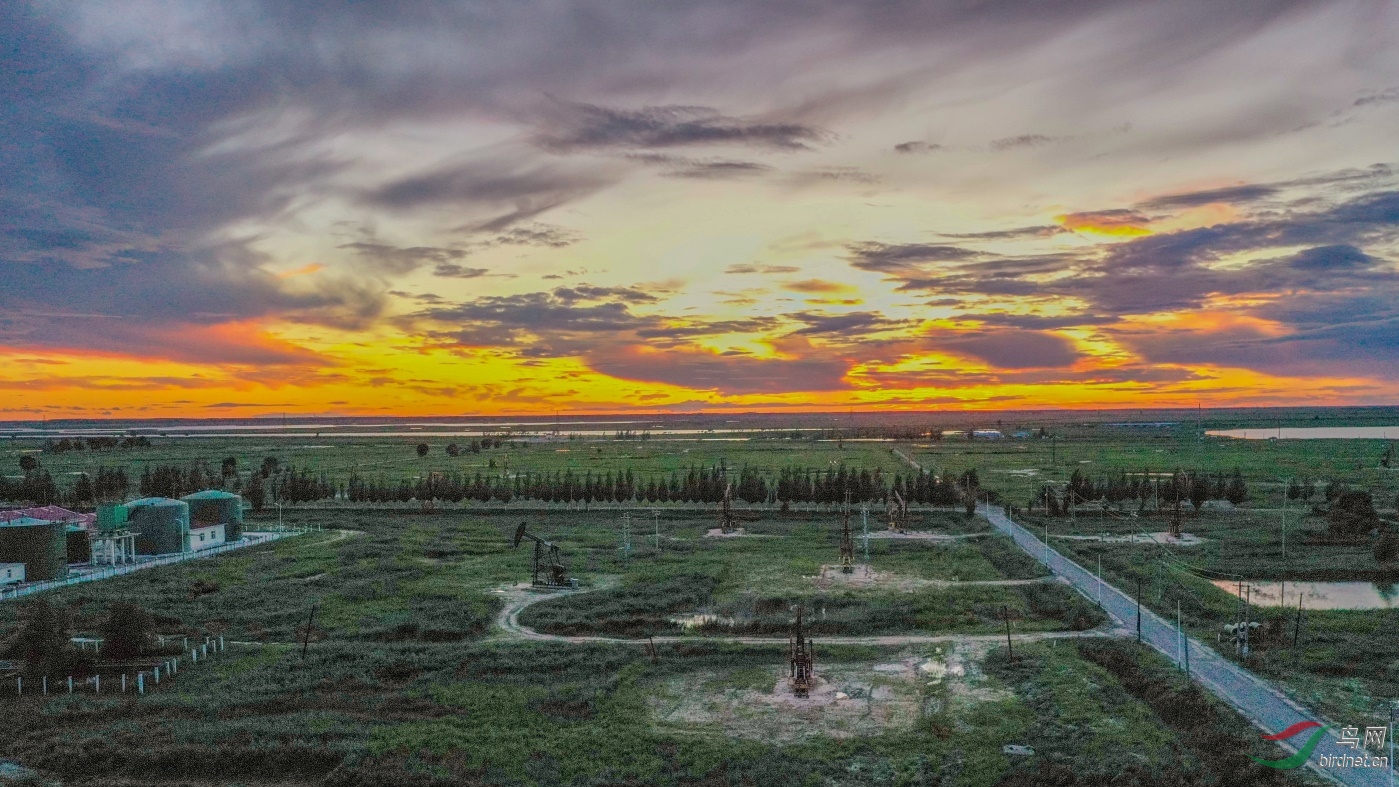 DJI_0701����1.jpg