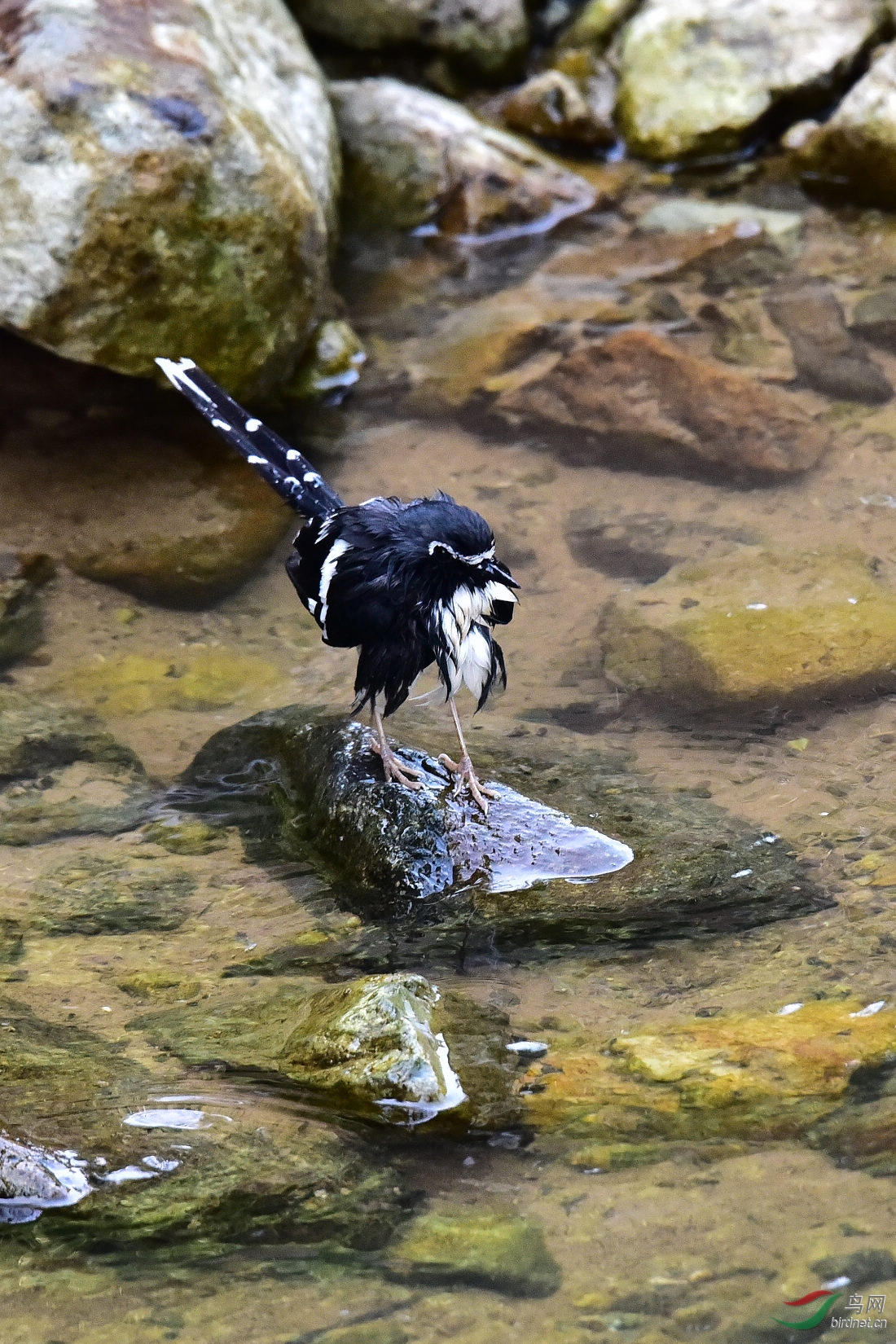 DSC_1069.JPG
