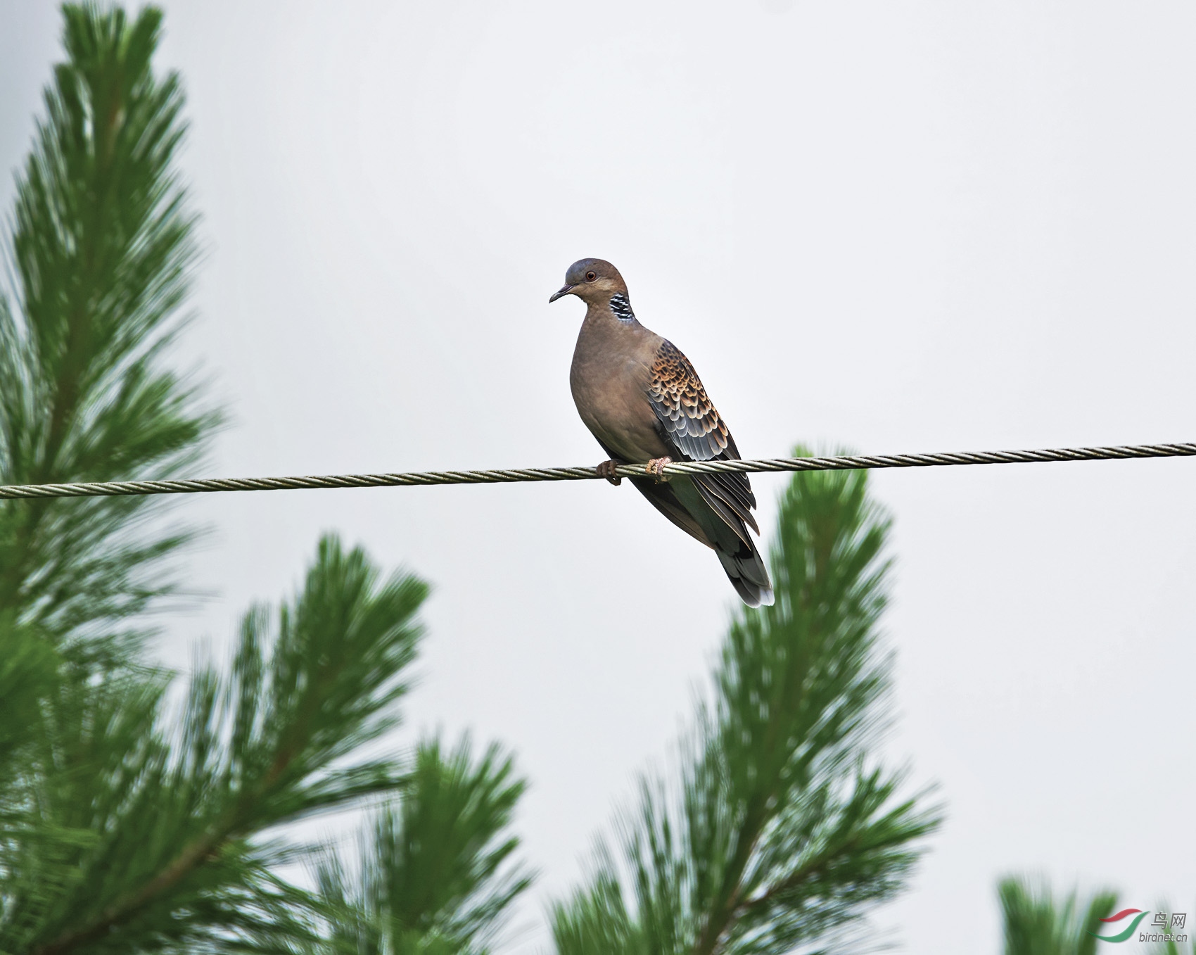 DSC_3648.jpg