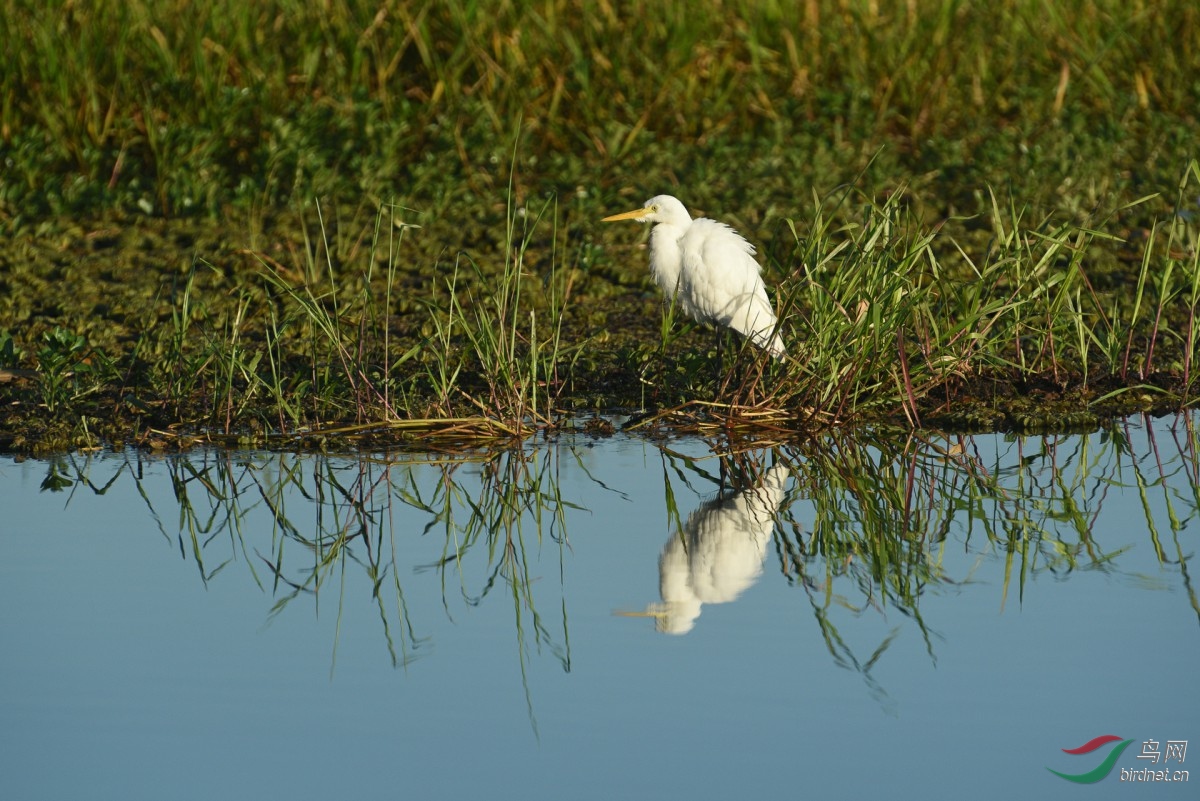 DSC_4017.jpg