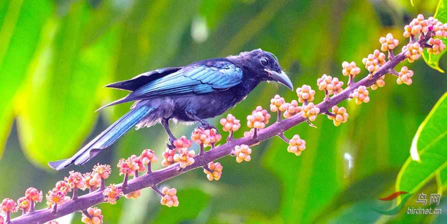 ��DSC_4670.jpg