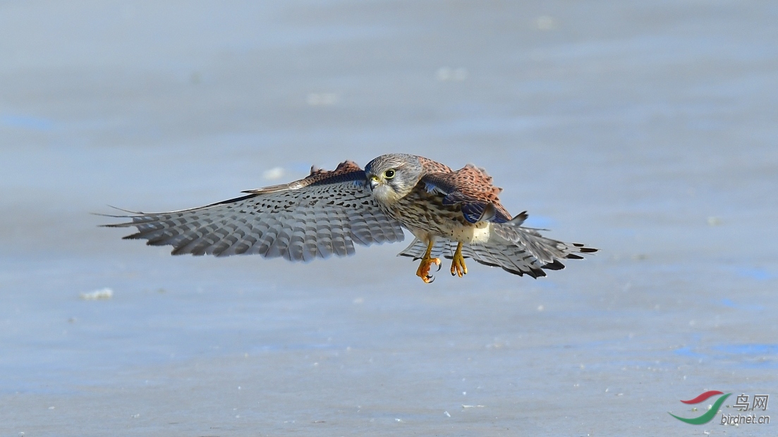 DSC_8572_��ͼ��.jpg