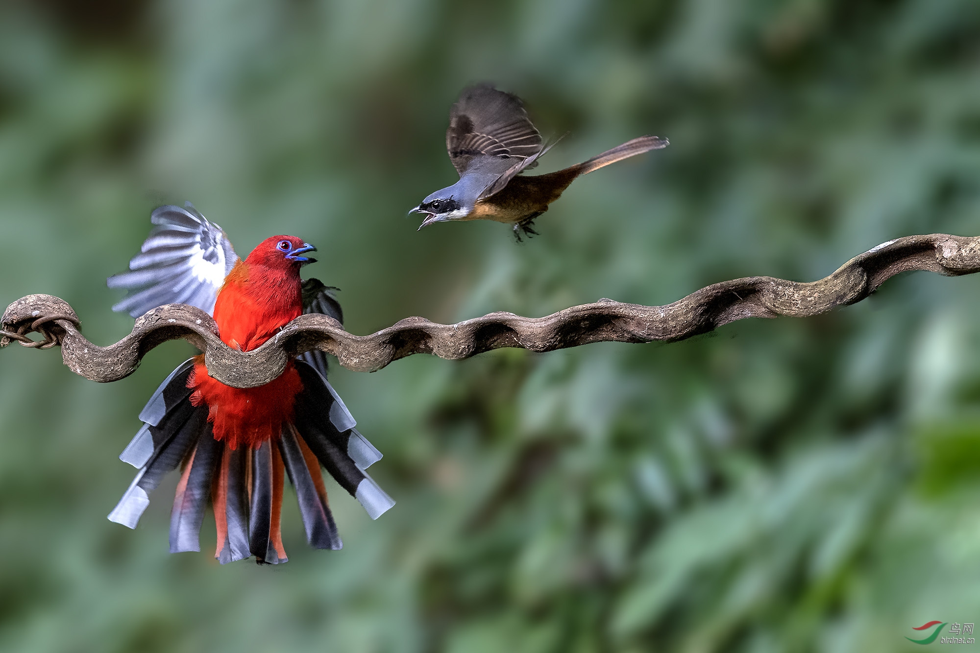 DSC_8110-1-�ָ���z.jpg