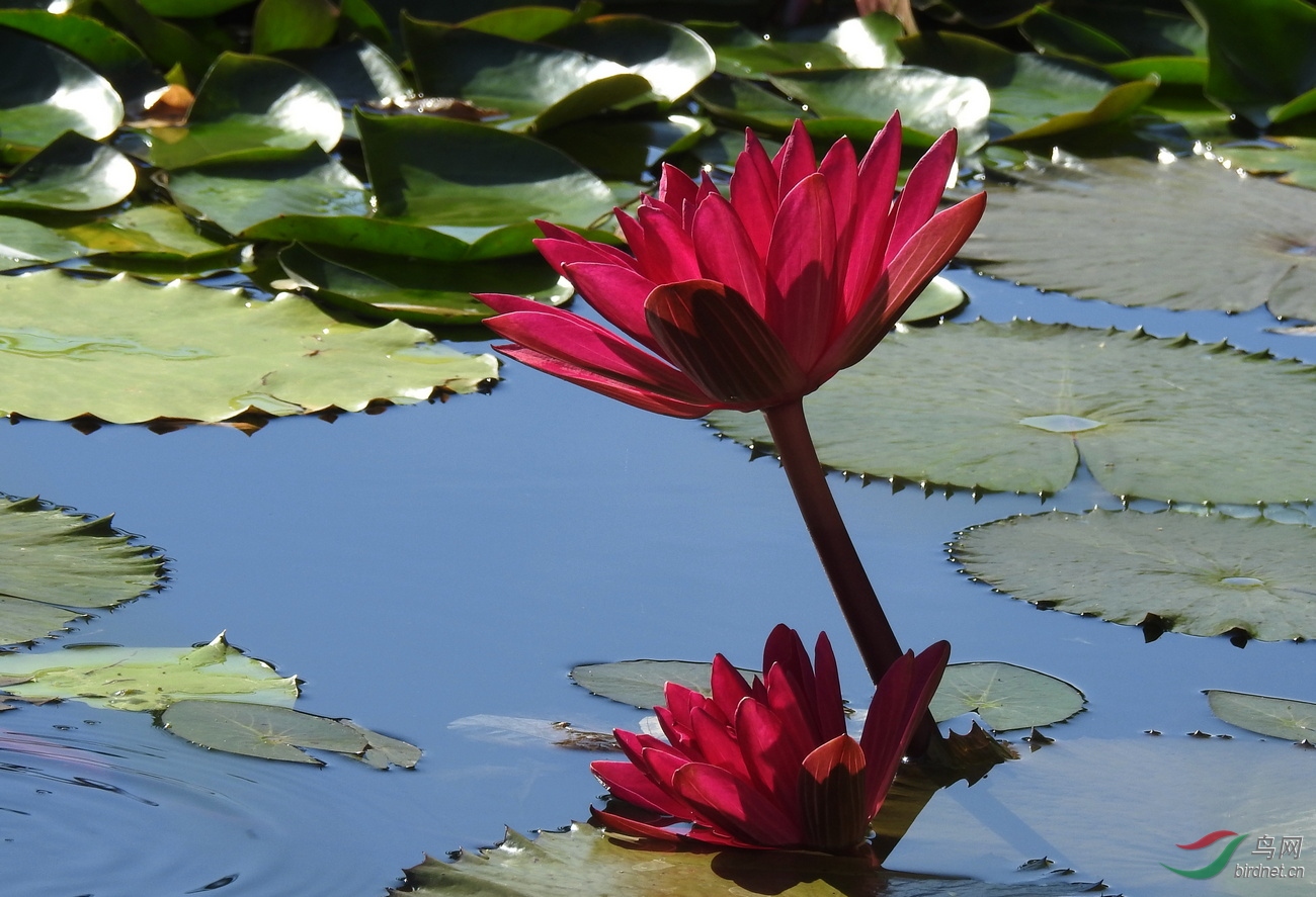 DSCN6124.JPG