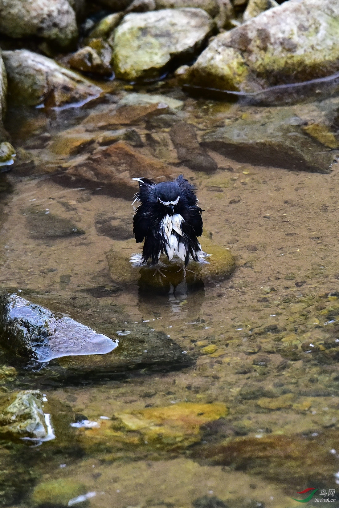 DSC_1075.JPG