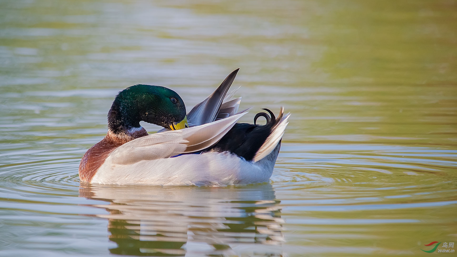 DSC_4105.jpg