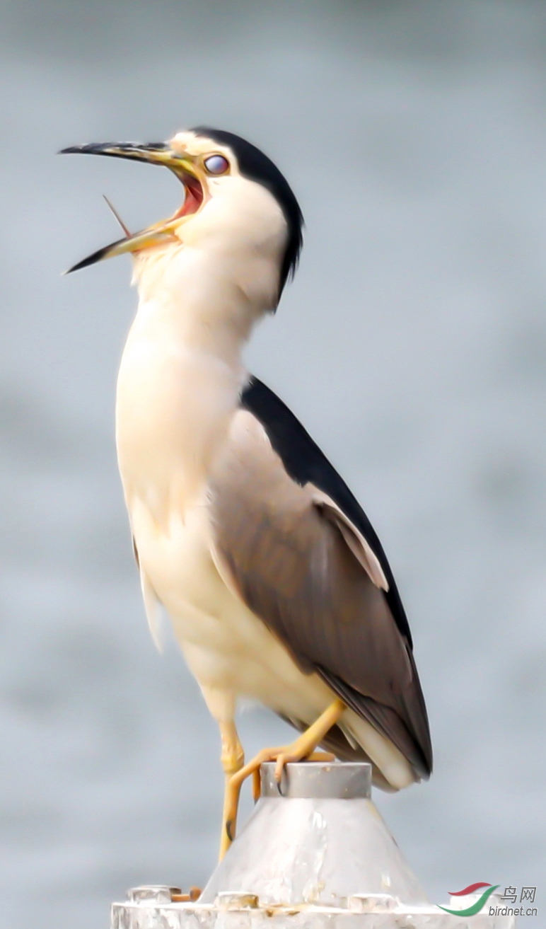 NF8A8169.jpg