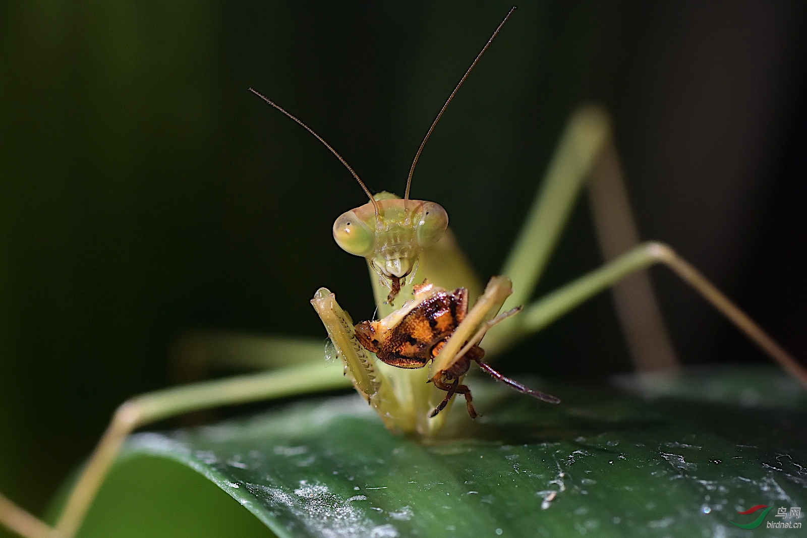 DSC_7321_00005.jpg