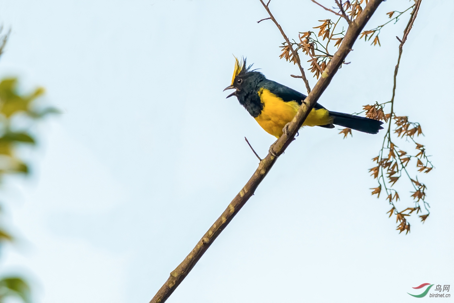 DSC_2874_1.jpg