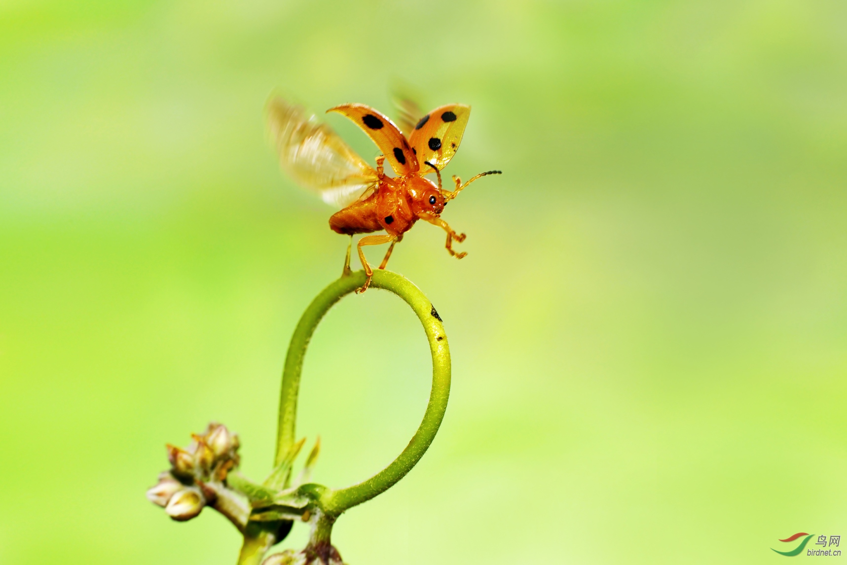 DSC_1404 �� ��������.jpg