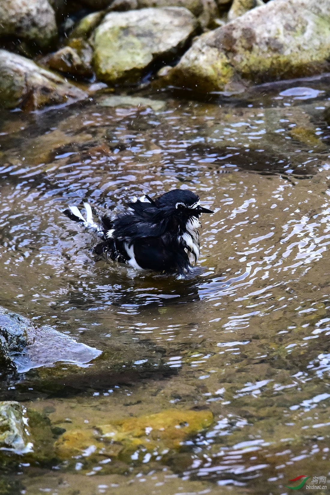 DSC_1081.JPG