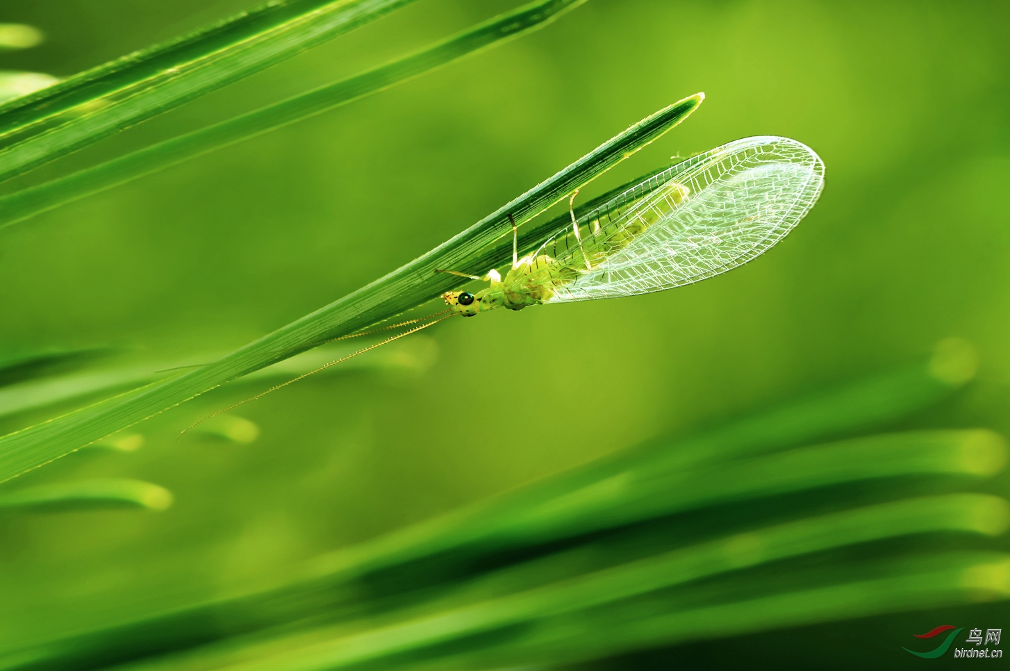 DSC_7097 ��������.jpg