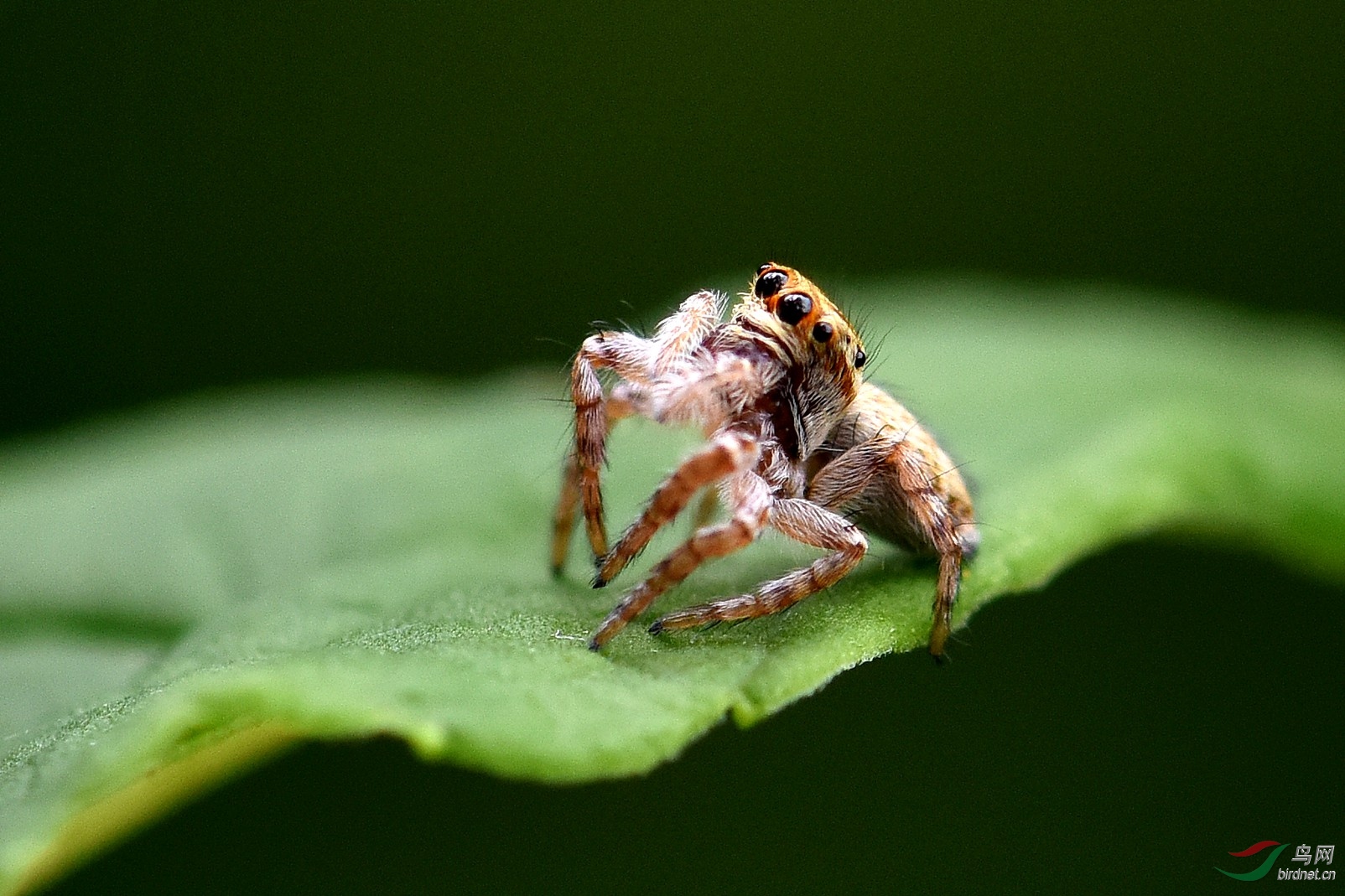 DSC_0443.JPG