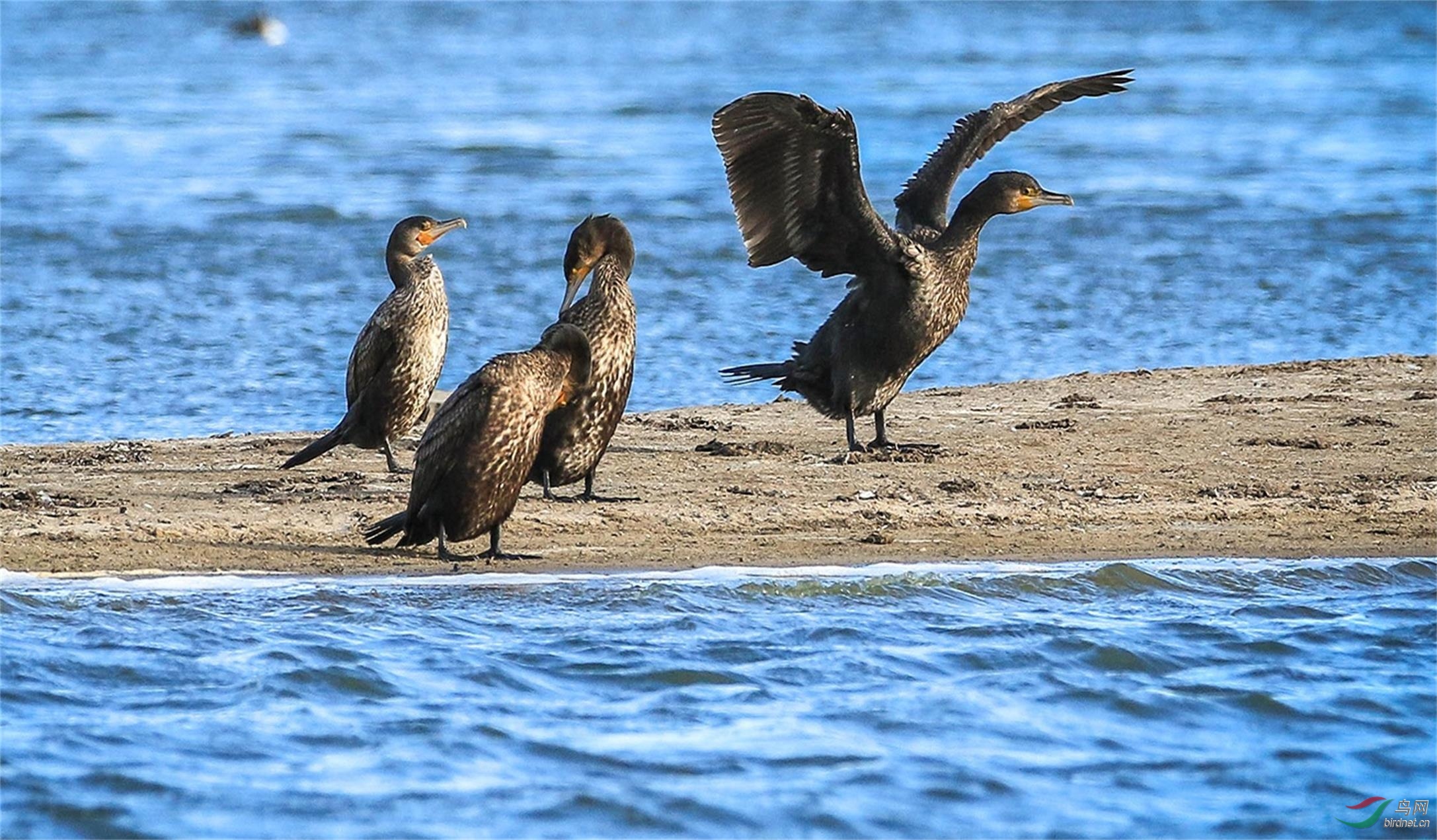 20202.2.5    00016    �޴���  ��Ӱ011_��ͼ��.jpg