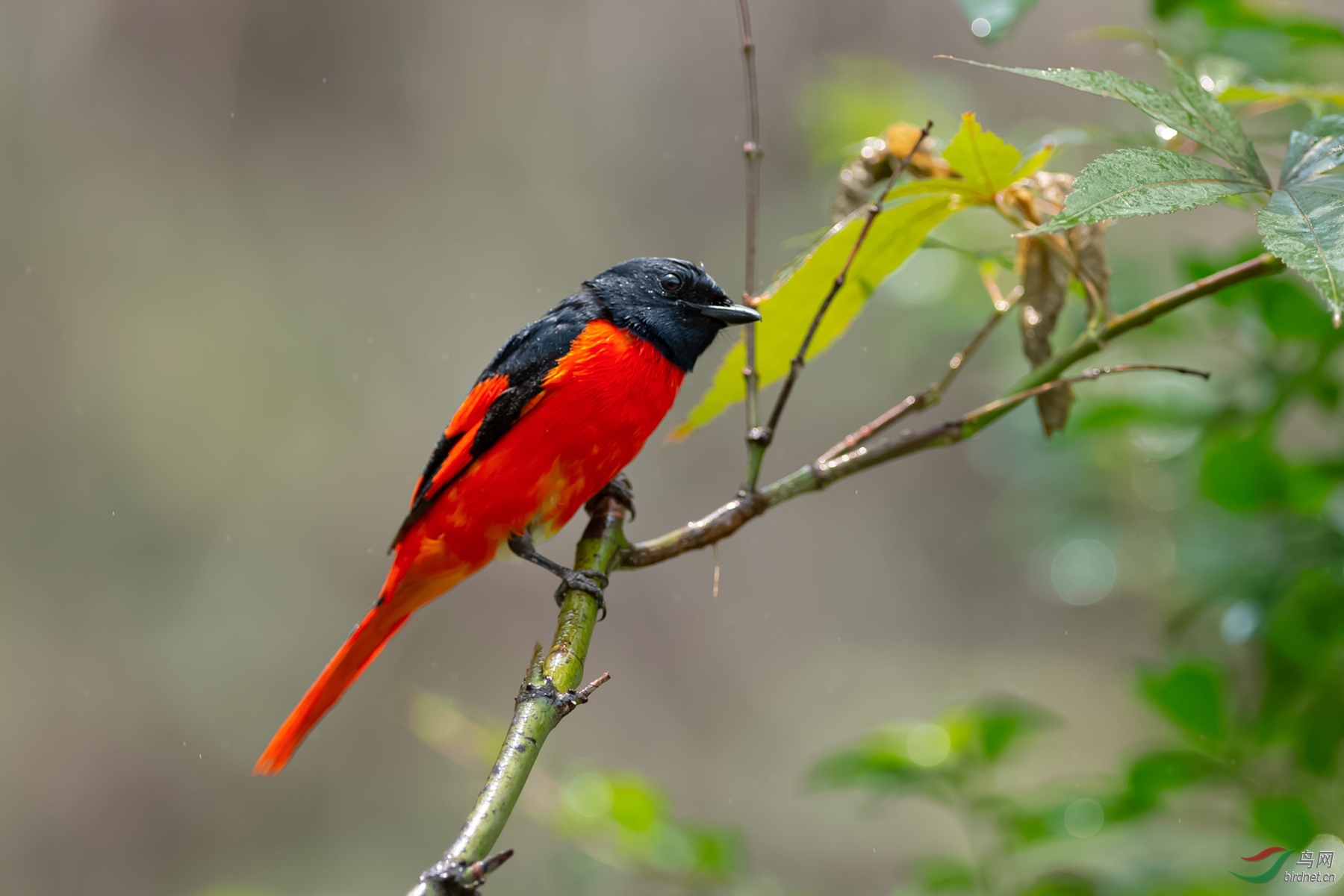 DSC_5014-11.jpg