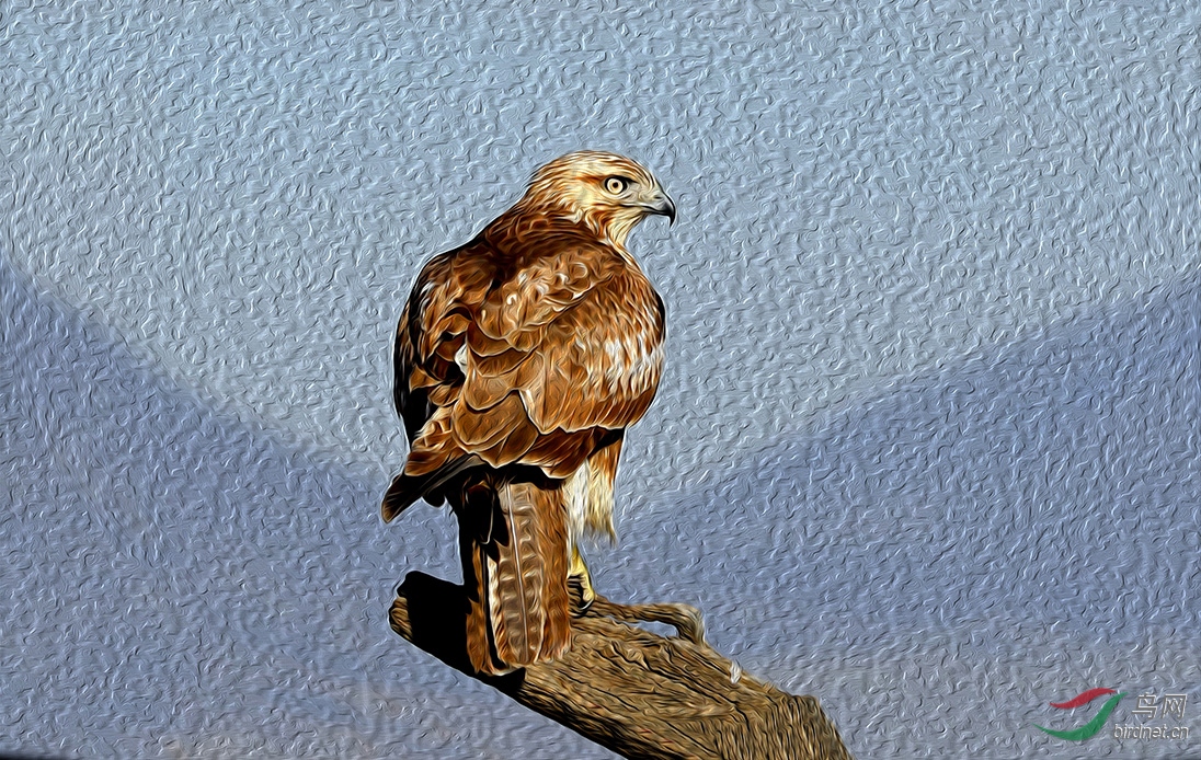 6.ע�ӣ���ͨ��